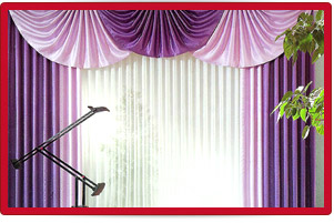 Plants: image 1 0f 4 thumb